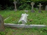 image of grave number 149558